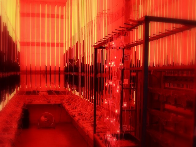 Accelerated Lift Test